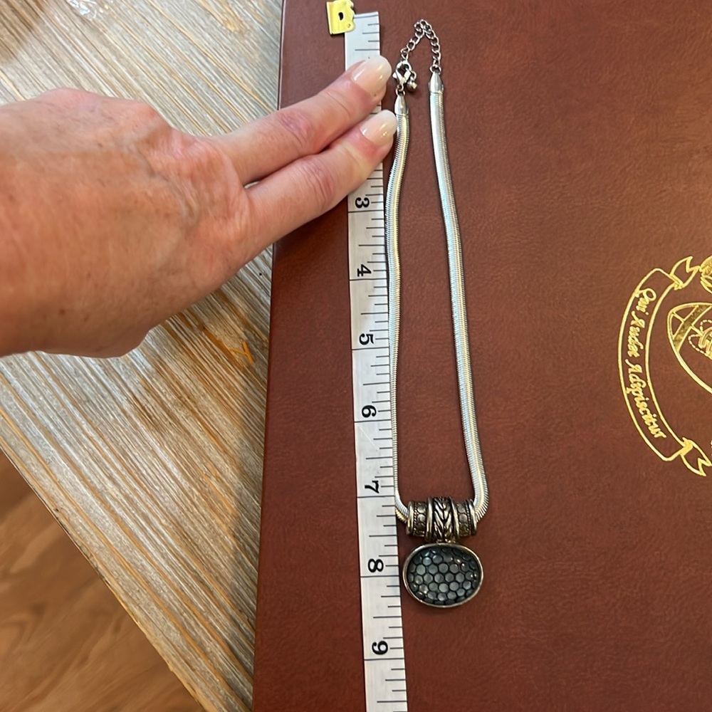 Classy, Timeless,Oozes Class & Style, Silver Turt… - image 7